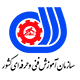 فنیی حرفه ای